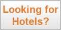 Young Hotel Search