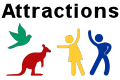 Young Attractions